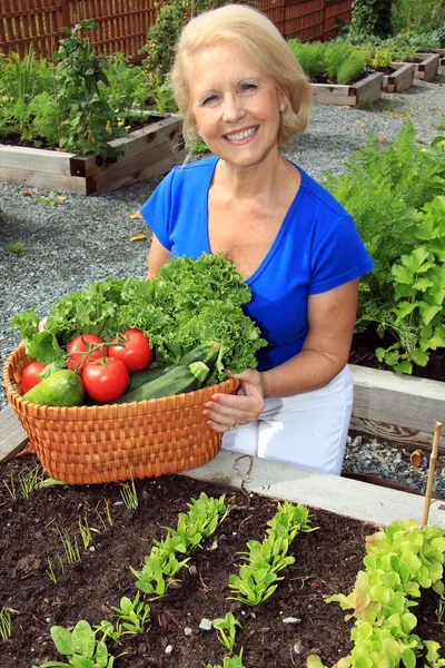 Lady vegetable gardener — Stock Photo, Image