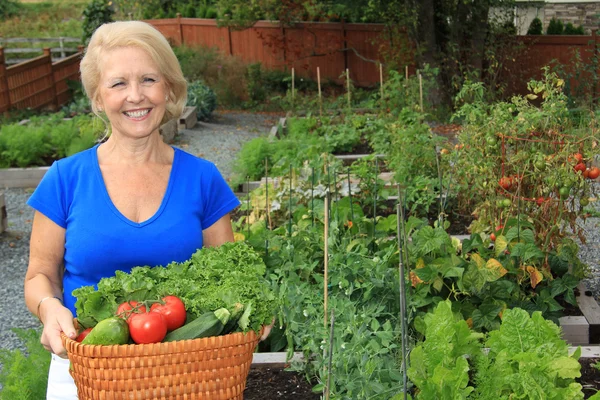 Lady vegetable gardener — Stock Photo, Image