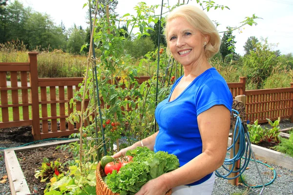 Senior gardener and vegetables.