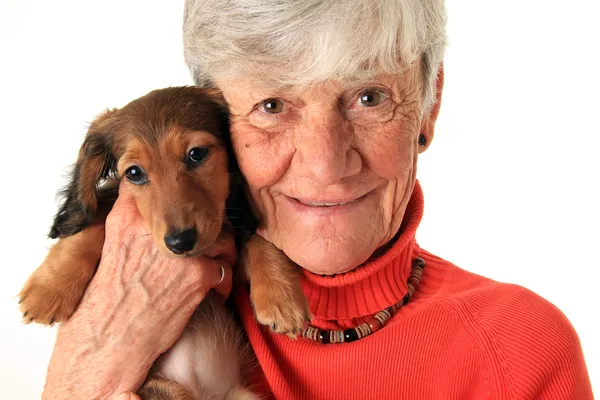 Vrouw en teckel puppy — Stockfoto