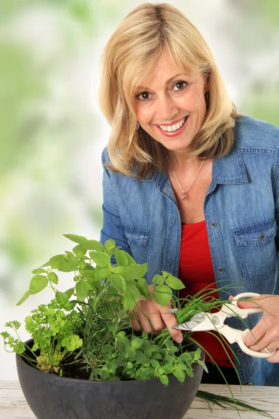 Žena řezání čerstvé bylinky. — Stock fotografie