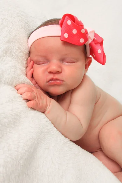 Newborn girl — Stock Photo, Image