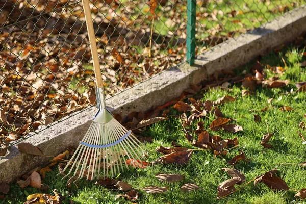 Rastrillo al lado de la valla en el día soleado de otoño, hojas de árboles vecinos caen en su propia propiedad, imagen concepto de disputa de barrio Imagen de archivo