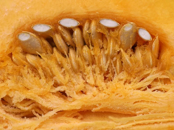 Λεπτομέρεια γκρο πλαν του εσωτερικού μιας κολοκύθας κομμένα στη μέση, εποχιακή τροφίμων φόντο του φθινοπώρου — Φωτογραφία Αρχείου