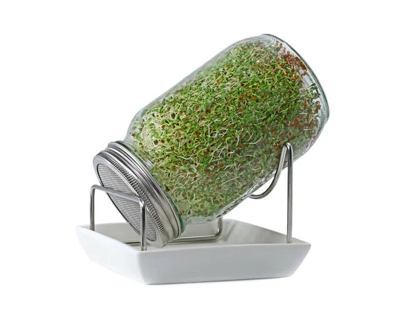 Проростки люцерни в скляній банці з підставкою та керамічною чашею ізольовані на білому тлі, домашня вирощена мікрозелень для здорового харчування — стокове фото