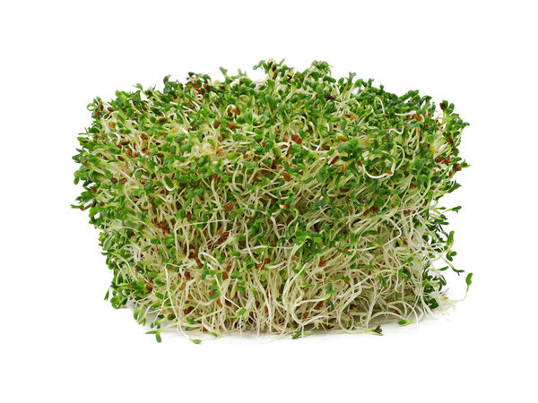 куча люцерны ростки изолированы на белом фоне

