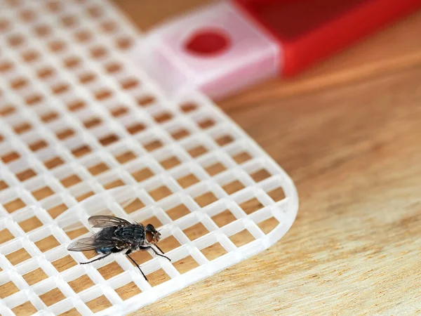 Voe no mata-moscas vermelho na mesa de madeira, tiro macro detalhado de inseto irritante no verão com ferramenta útil para combatê-lo — Fotografia de Stock
