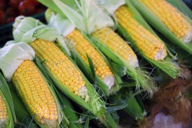 Yerel pazarda satılık taze mısır koçanları.