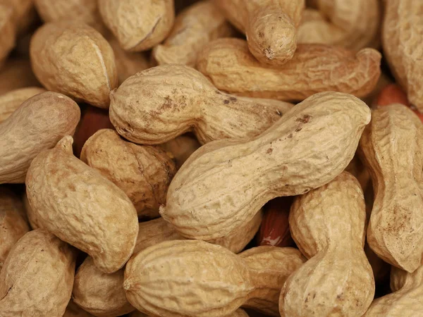close up of peanuts with shell, dry roasted and unshelled nuts as healthy snack.