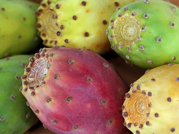 Close Different Colored Prickly Pear Fruits Opuntia Ficus Indica Cactus —  Fotos de Stock