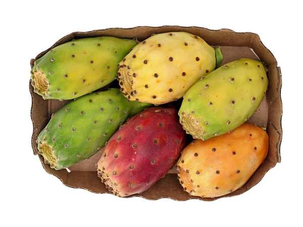 Top view of different colored Prickly Pear Cactus fruits, also called Opuntia, Ficus-Indica, Indian Fig Opuntia or Barbary Fig, in cardboard tray, top view.