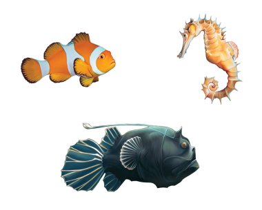 Monk fish, clown fish and sea horse