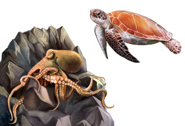Turtle and Octopus in the rocks clipart