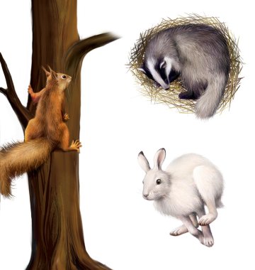 Porsuk, yabani tavşan çalıştıran sleeping ağaçta sincap