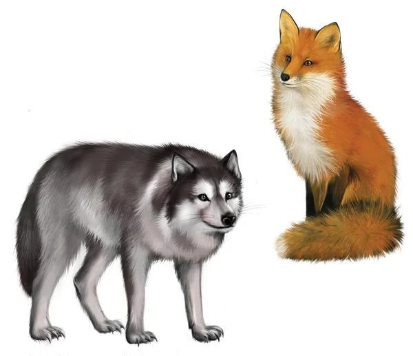 Sitting Fox and Wolf — Stock Photo, Image