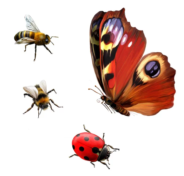 Motýlek, Beruška a včely — Stock fotografie