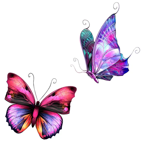 Butterflies — Stock Photo, Image