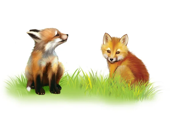 Fox cab. två baby rävar spela på gräs. — Stockfoto