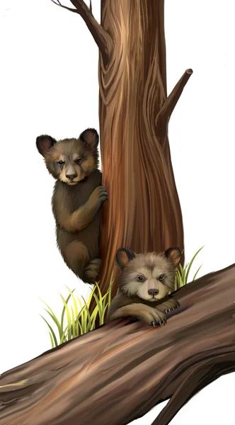 Kleine teddybeer beren spelen. omgevallen boom. — Stockfoto