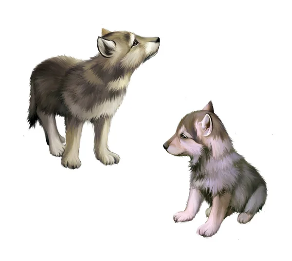 Two baby wolfs, puppies — Stock Photo, Image