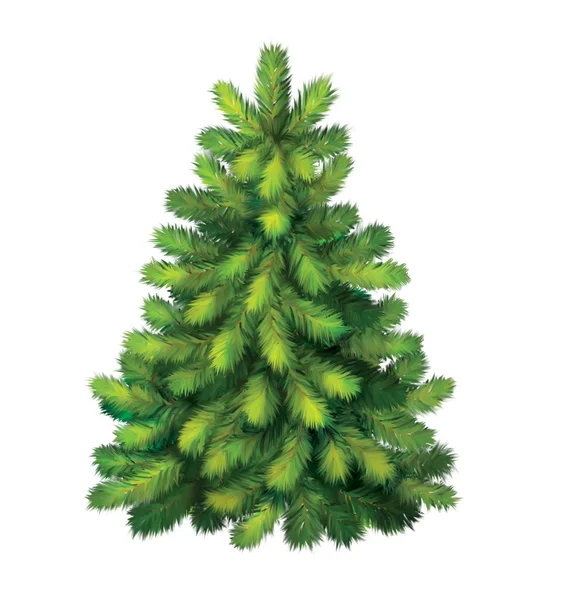 Pine tree. christmas tree — Stock Image Pine tree. christmas tree Royalty Free Stock Images