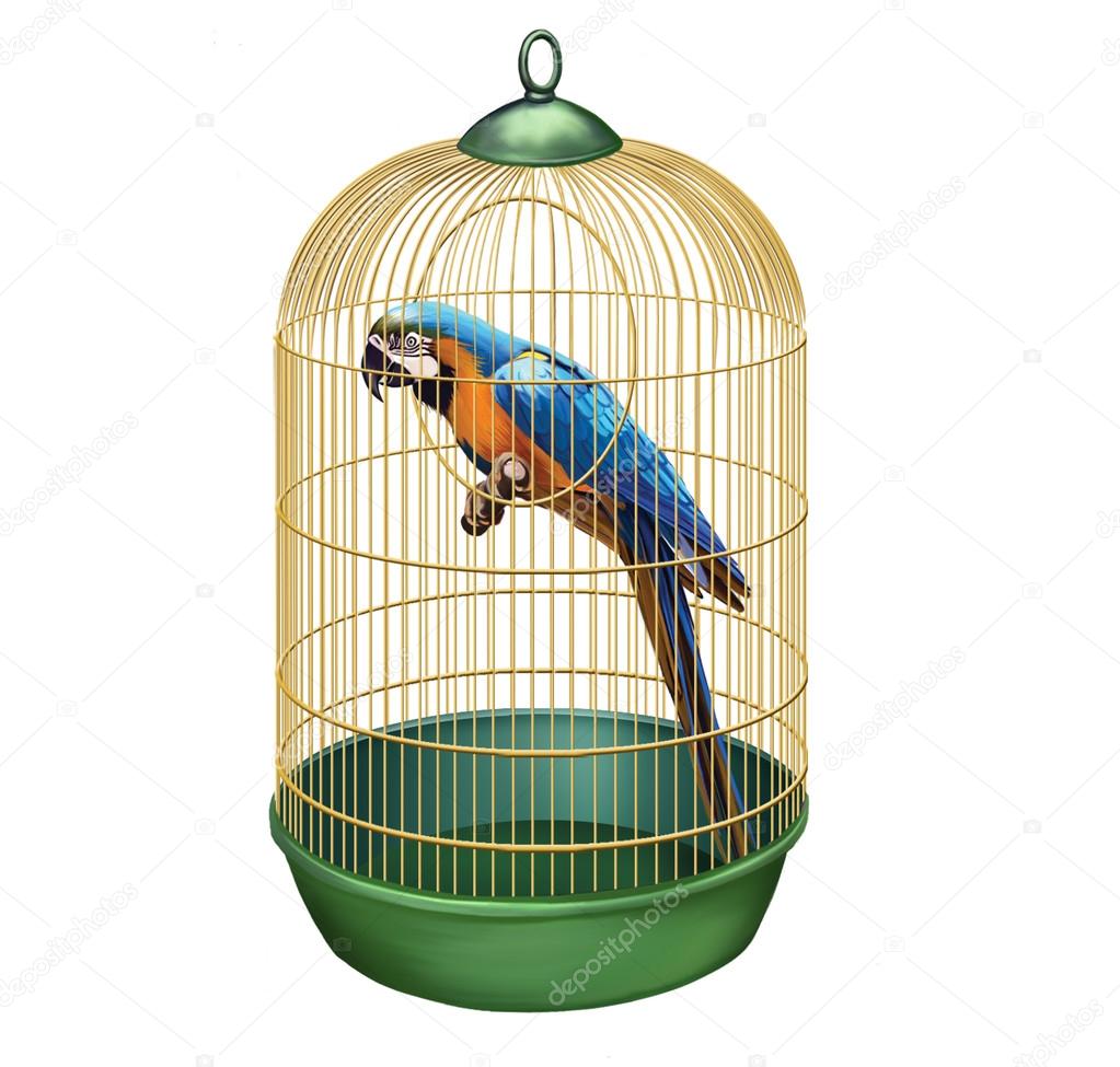 Parrot in a retro cage. Big Blue macaw (Ara ararauna) in bird cage