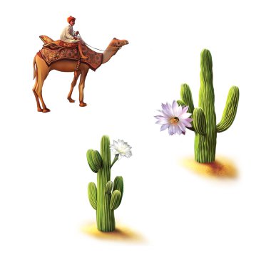 çöl, Bedevi devenin, saguaro kaktüsü çiçekler, opuntia kaktüs, doğal yaşam