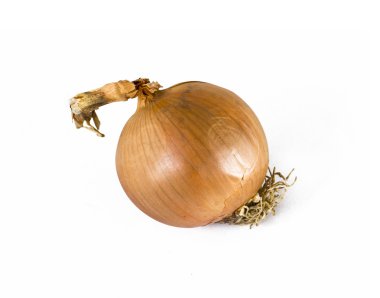 soğan taze soğanı