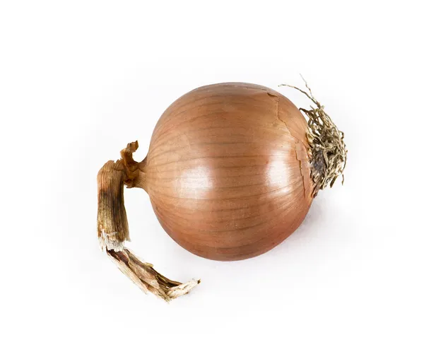 Fresh bulbs of onion — Stock Photo, Image