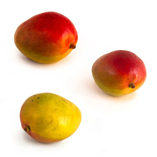 Mango frukt isolerad på vit bakgrund — Stockfoto