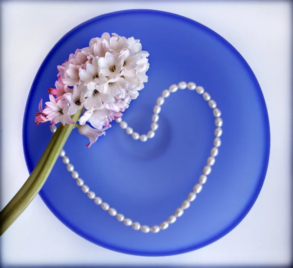 Квітка гіацинту з серцем з перлового бісеру на блакитній скляній тарілці — стокове фото