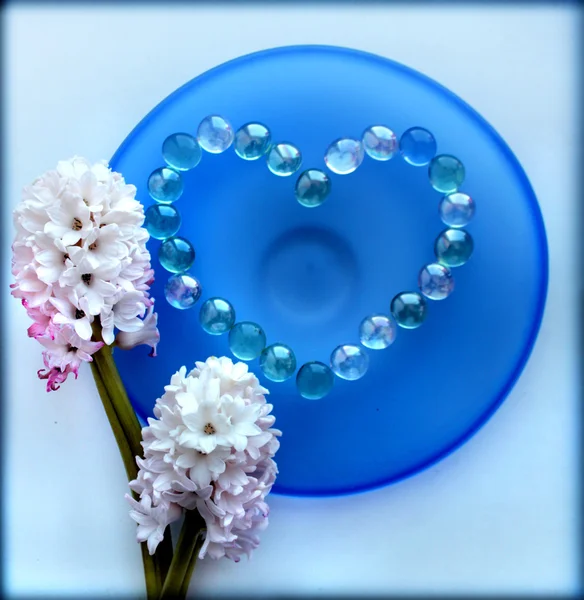 Два гиацинтовых цветка с жемчужным сердцем на голубой стеклянной тарелке — стоковое фото