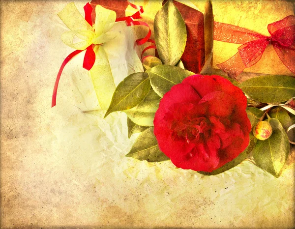 Kırmızı kamelya çiçeği, ipek kurdele ve yay ile hediye kutuları — Stok fotoğraf