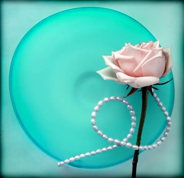 Rose on blue glass plate — Stock Photo, Image