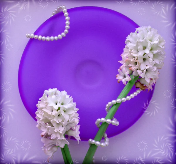 Two hyacinth flower with a pearl beads on blue glass plate — Stock Photo, Image