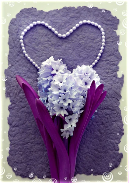 Flor de jacinto com um coração de contas de pérola — Fotografia de Stock