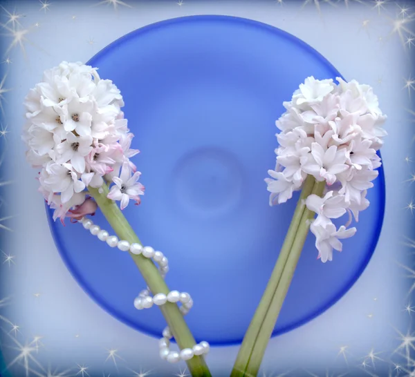 Два гиацинтовых цветка с жемчужными бусами на голубой стеклянной тарелке — стоковое фото