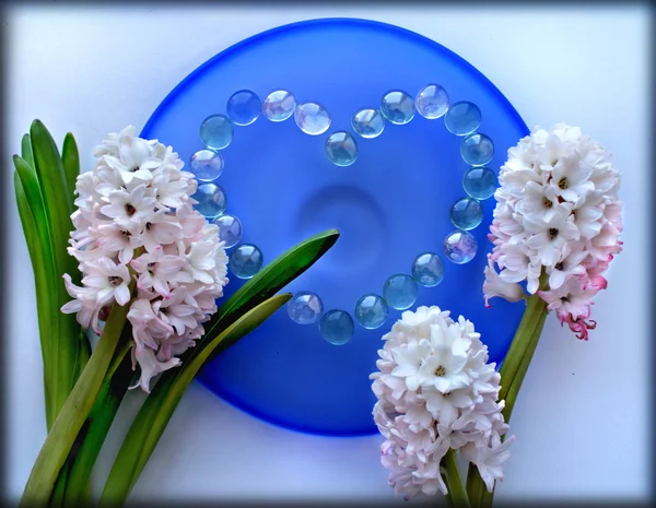 Гиацинтовые цветы с сердцем из жемчужных бусин на голубой стеклянной пластине — стоковое фото