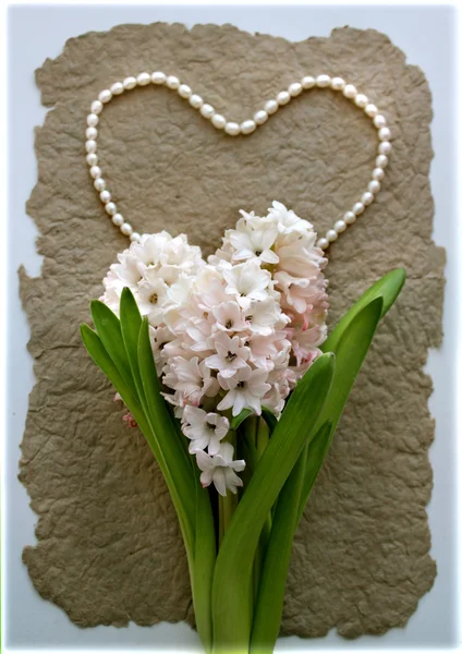 Flor de jacinto com um coração de contas de pérola — Fotografia de Stock