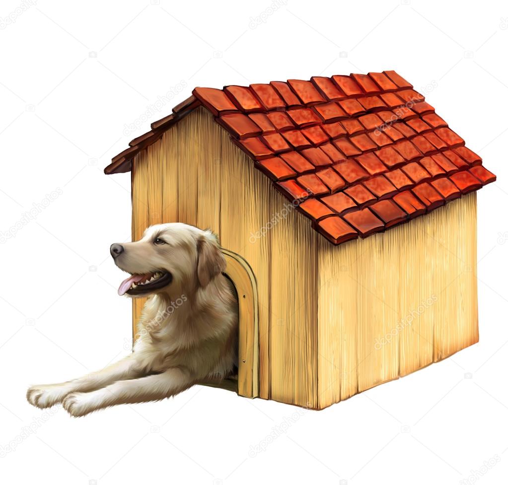 Dog in a dog house. Golden retriver