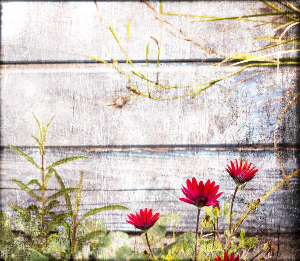 Red flowers on a background of wooden wall