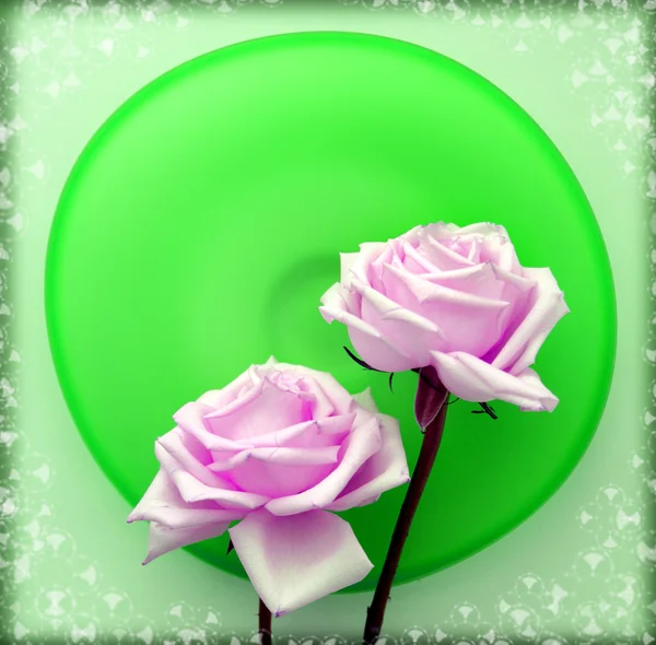 Két rózsaszín rózsa zöld üveg lemez — Stock Fotó