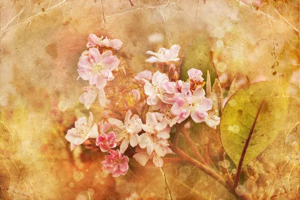 Grunge bakgrund med blommor — Stockfoto