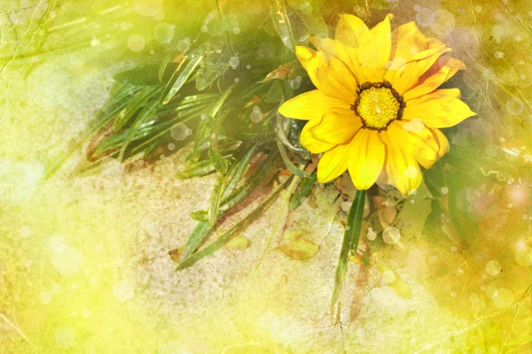 Flores de primavera. Foto con filtro amarillo —  Fotos de Stock