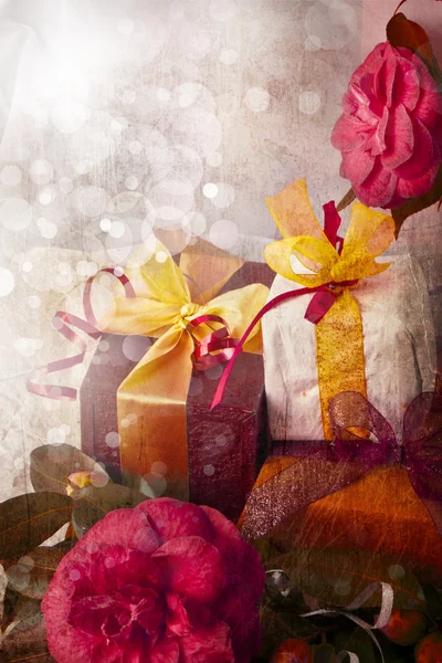 红山茶花、 礼品盒丝带和弓 — 图库照片