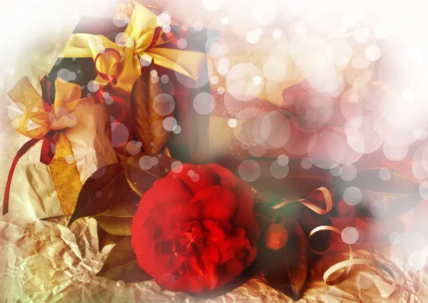 Rote Kamelienblüte, Geschenkboxen mit Seidenband und Schleife — Stockfoto