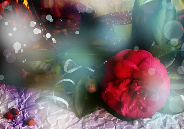 Röd camellia blomma, presentaskar med sidenband och rosett — Stockfoto
