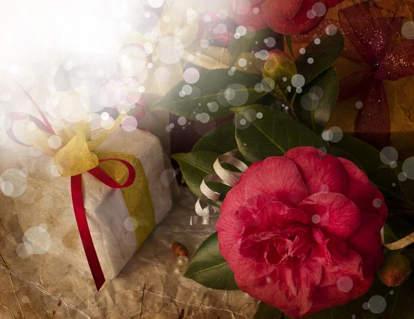 Flor de camélia vermelha, caixas de presente com fita de seda e arco — Fotografia de Stock