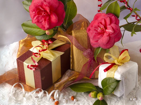 Красная Камелия Цветок, подарочные коробки с шелковой лентой и луком — стоковое фото