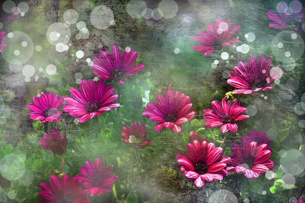 Hermoso fondo primaveral con pequeñas flores rojas y rosas —  Fotos de Stock